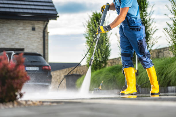 Animal Enclosure Cleaning in Lake Leann, MI